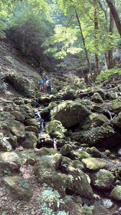 岩場超えて