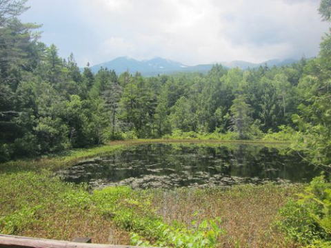 牛留池