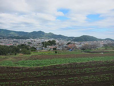 丹沢の山並み