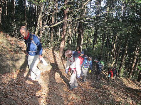 木漏れ日の中を